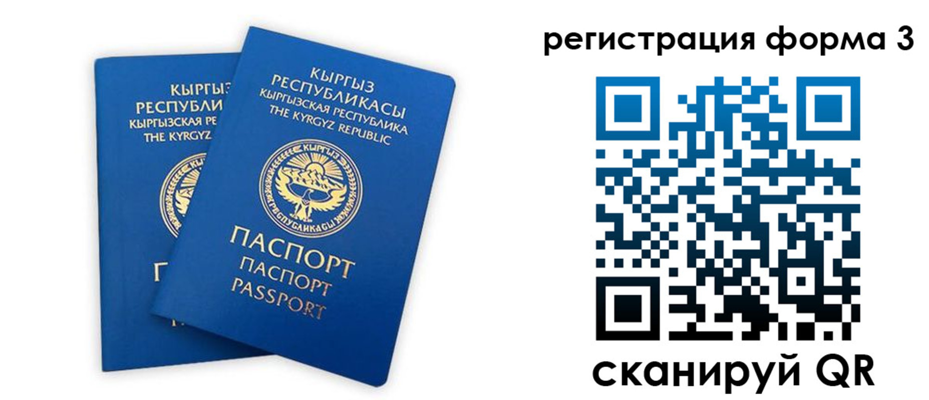 временная регистрация госуслуги в Луге